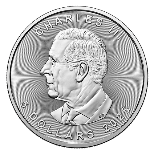 1 oz 99.99 pure silver coin